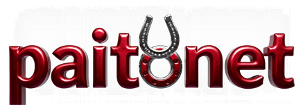 paitonet